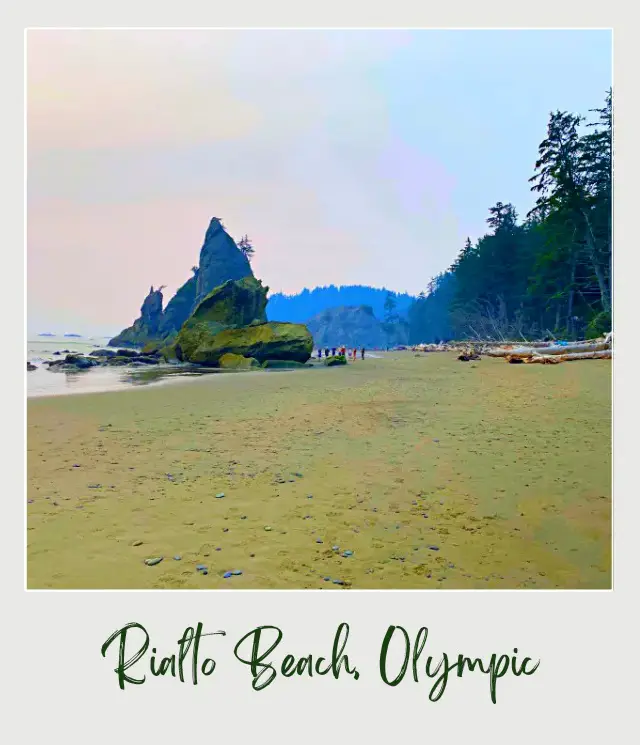 Rialto Beach - Hole in the Wall, Olympic National Park: Complete Guide People beside the ocean surrounded by driftwoods, tree forest and huge sea stacks in Rialto Beach, Olympic National Park.