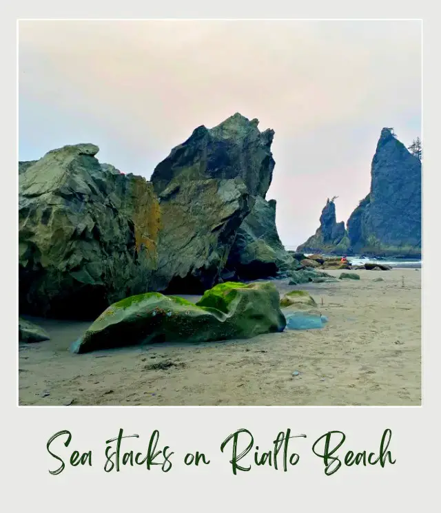 Rialto Beach - Hole in the Wall, Olympic National Park: Complete Guide Boulders and huge sea stacks beside Rialto Beach, Olympic National Park.