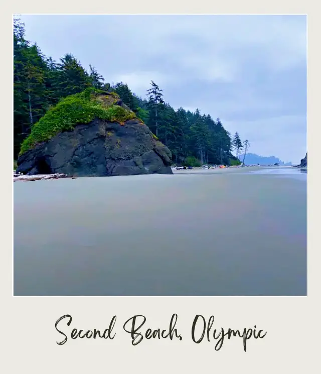 La Push Second Beach, Washington State: Complete Guide Seashore at the beach of Olympic National Park surrounded with tall trees and its iconic rock formation.