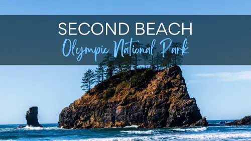 View of a Huge sea stack with trees on it, with the text, Second Beach Olympic National Park.