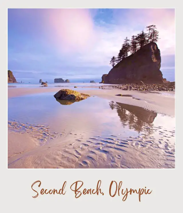 The 10 Best Olympic National Park Beaches View of sea stacks in Second Beach Olympic National Park