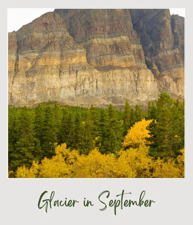 View of huge stone mountains and below are trees in Glacier National Park.