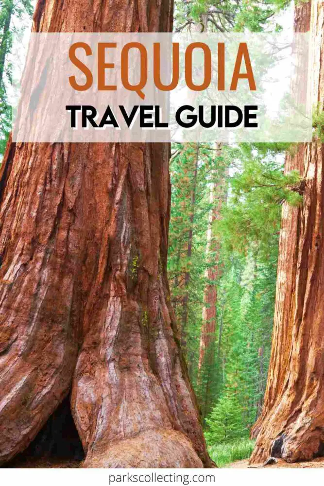 Sequoia National Park Guide