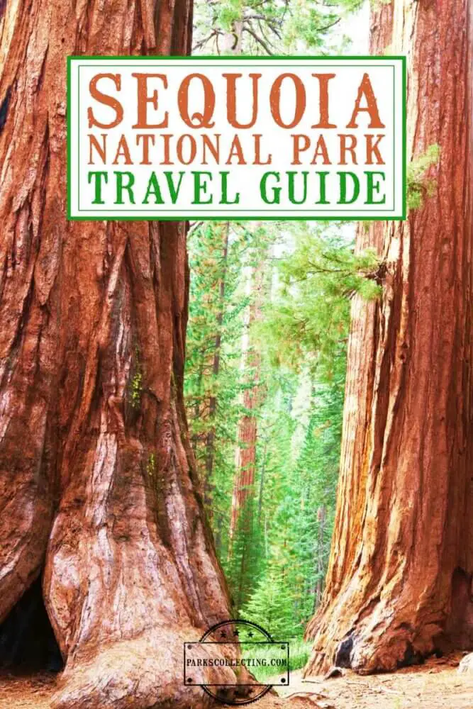 Sequoia National Park Guide