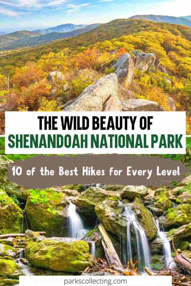 photos of hillside with organge trees and a waterfall with text "the wild beauty of shenandoah national park - 10 of the best hikes for every level"