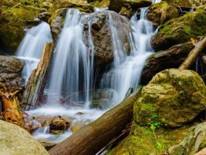 Best Time To Visit Shenandoah National Park