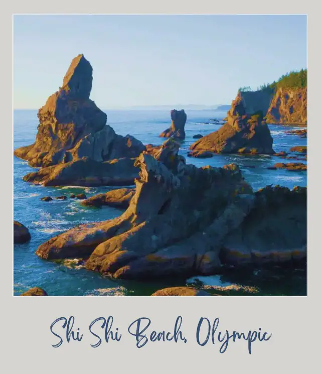 The 10 Best Olympic National Park Beaches View of sea stacks in
Shi Shi Beach Olympic National Park