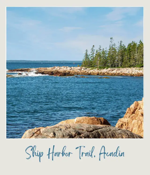 Blue ocean beside the rocky mountains and trees in Ship Harbor Trail Acadia National Park.