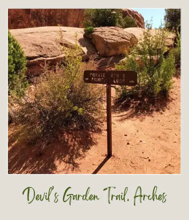 Wooden signage and behind are bushes and huge rock formations on Devils Garden Trail in Arches National Park.