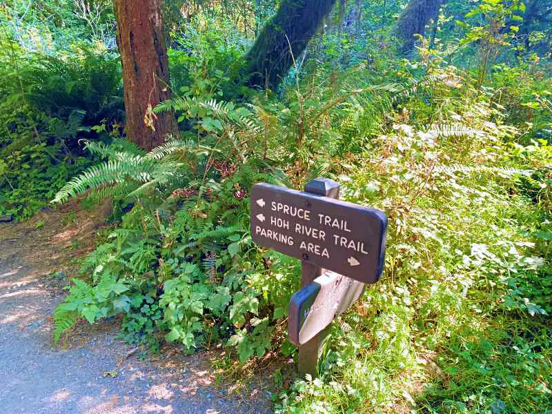 Sign at start of Hoh River Trail Olympic National Park