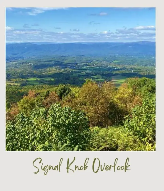 trees and valley from Signal Knob Overlook Shenandoah National Park