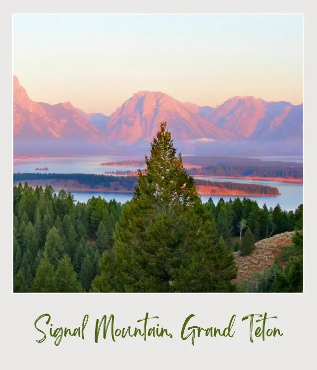 Behind the forest in Grand Teton National Park is a lake surrounded by mountains and trees.