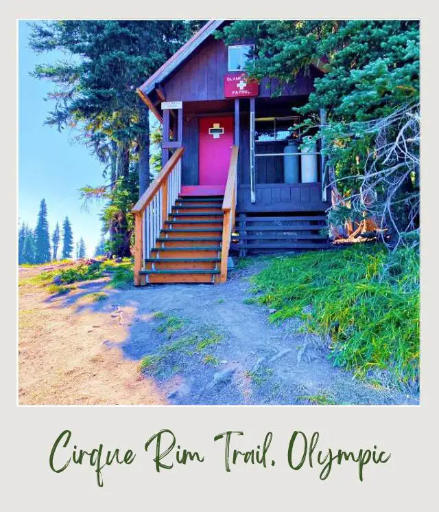 Cirque Rim Trail Guide Red door Ski patrol hut surrounded by trees in Cirque Rim Trail Hurricane Ridge Olympic National Park
