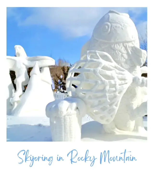 20 Best Things to Do in Rocky Mountain National Park in Winter Skijoring in Rocky Mountain National Park