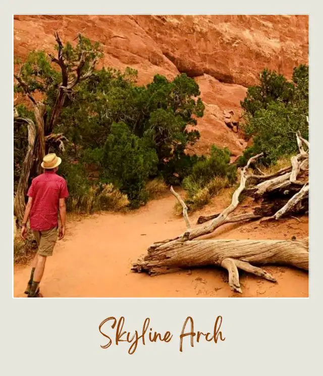 Kevin walking on the trail surrounded by bushes and tree trunks in Arches National Park.