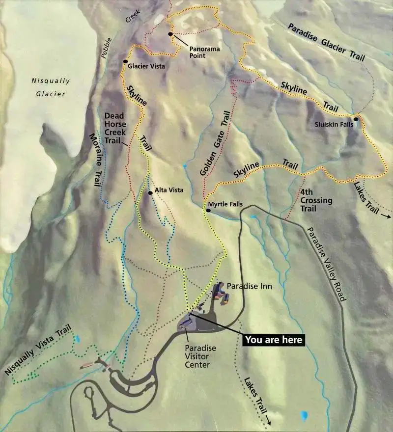 An image of the Skyline Trail Mt Rainier National Map