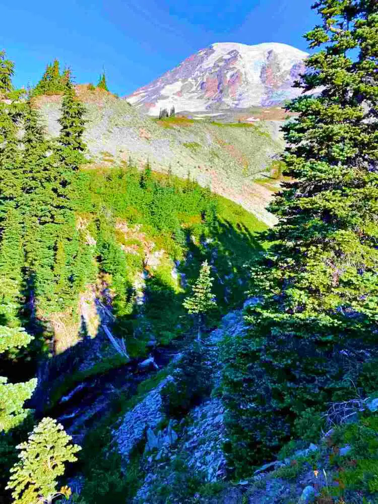 Aerial view of waterfalls surrounded by trees and mountains in Skyline Trail Mt Rainier National.
