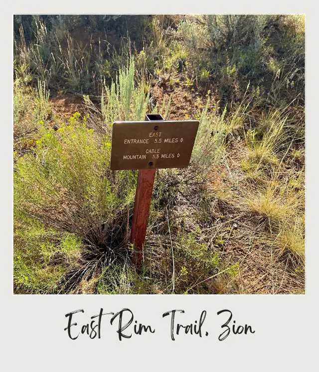 A photo of a weathered trail sign stands among tall grasses and shrubs, marking distances to key destinations under warm sunlight at East Rim Trail, Zion National Park.