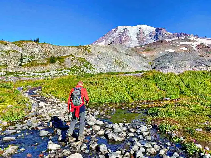 A man wearing a red jacket and backpack standing on the rocks in the small river surrounded by trees and mountains in Skyline Trail Mt Rainier National.