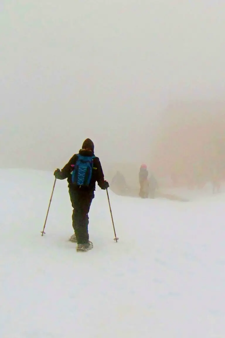 21 Best Things To Do In Olympic National Park, Washington