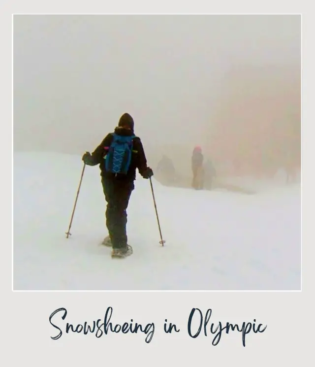 21 Best Things to Do in Olympic National Park A person doing snowshoeing at Hurricane Ridge Olympic National Park.