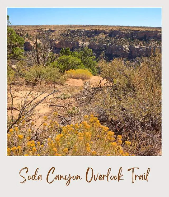 Soda Canyon Overlook Trail in Mesa Verde National Park