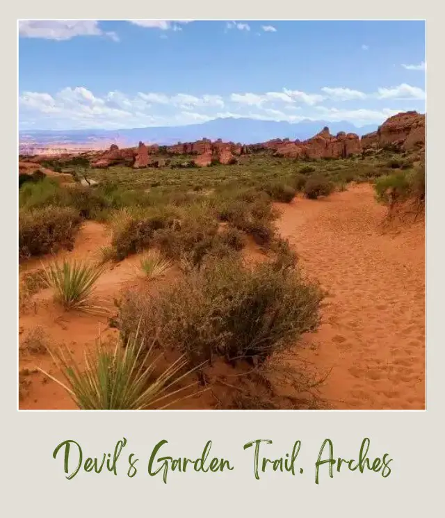 View of Devils Garden trail surrounded by bushes and at the distance are the rock formations in Arches National Park.