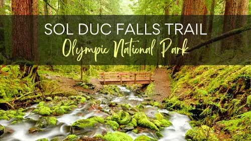 View of wooden brigde in the falls surrounded by mossy stones and trees, with the text Sol Diuc Falls Trail Olympic National Park.