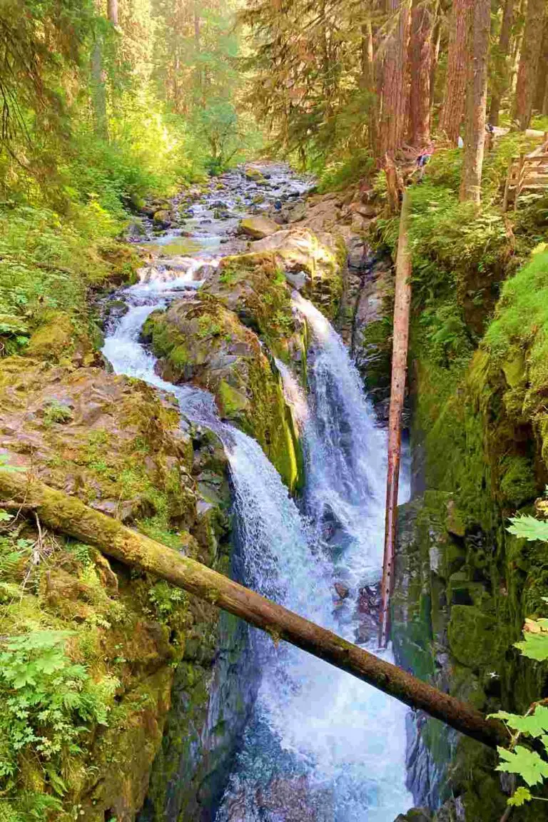 8 Best Sol Duc Hikes, Olympic National Park