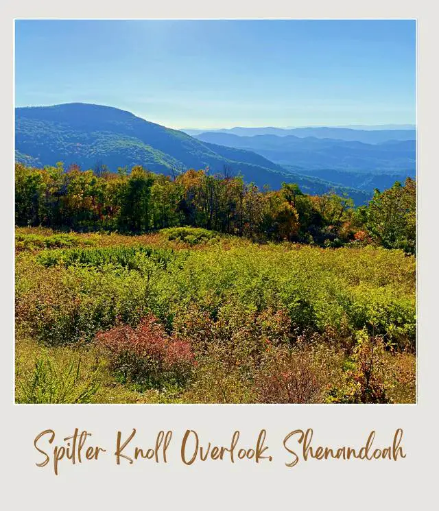 25 Best Overlooks on Skyline Drive Spitler Knoll Overlook Shenandoah National Park