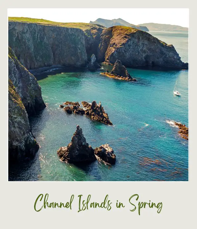 Aerial view of ocean and beach in Channel Islands National Park.