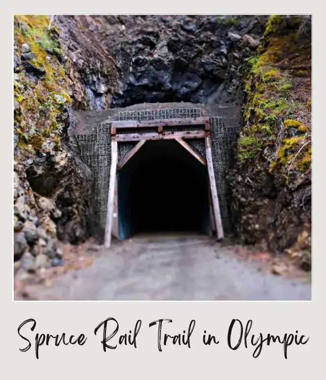 21 Best Things to Do in Olympic National Park Entrance of the tunnel in Olympic National Park.