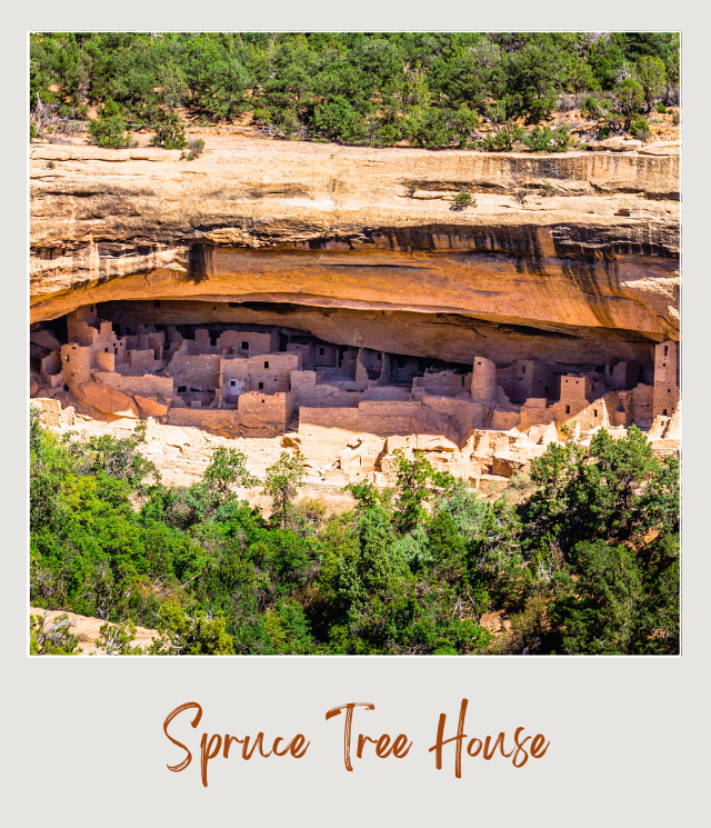 Spruce Tree House Mesa Verde National Park