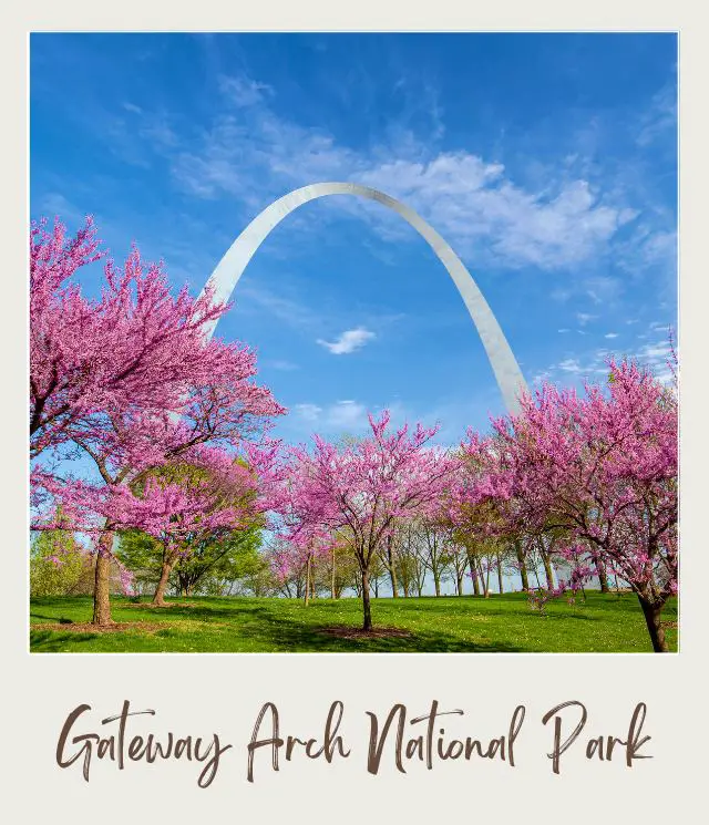 The 10 Best National Parks for Wildlife Viewing in the US (and the 5 Worst Ones) St. Louis Gateway Arch National Park