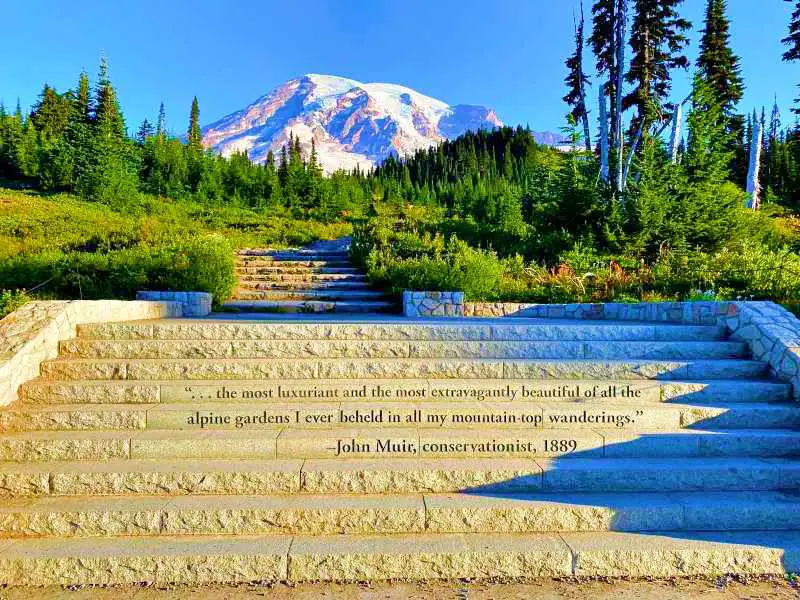 Stairs are surrounded by green trees and grasses, and behind is a snow-capped mountain in Skyline Trail Mt Rainier National
