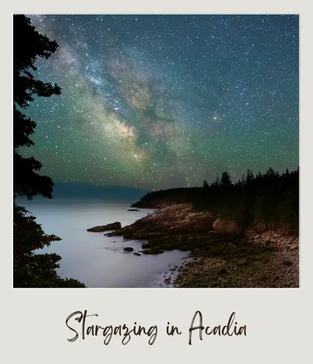 Sky in the night full of stars above the sea surrounded by trees during the night you can see when star gazing, one of the things do near Acadia National Park