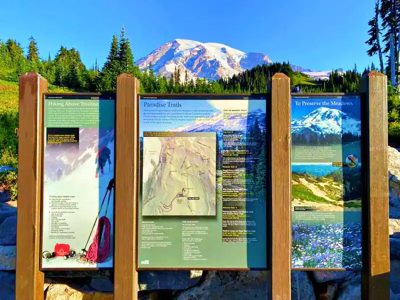 Wooden signage and poster in Skyline Trail Mt Rainier National and behind are snow-capped mountains and trees.