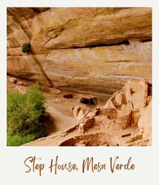 Step House Mesa Verde National Park