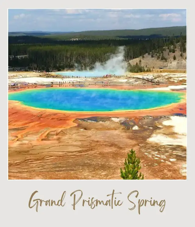 Planning a Trip to Yellowstone National Park: 7 Mistakes to Avoid Stunning Grand Prismatic Spring view from overlook trail Wyoming