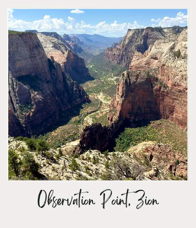 A view of view of a deep canyon with towering cliffs, winding trails, and lush greenery stretching into the horizon beneath a bright blue sky at Observation Point, Zion National Park.