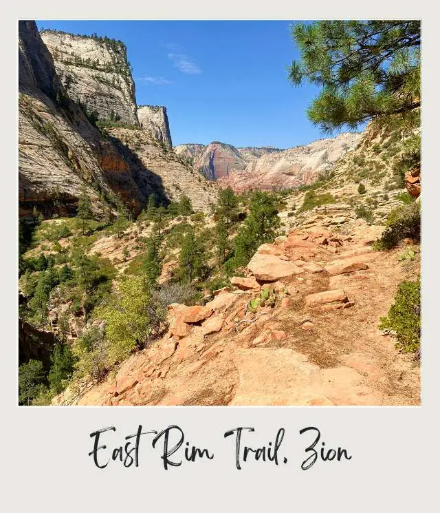 A rugged trail lined with red rocks and green pines winds through towering cliffs and steep slopes under a clear blue sky at East Rim Trail, Zion National Park.