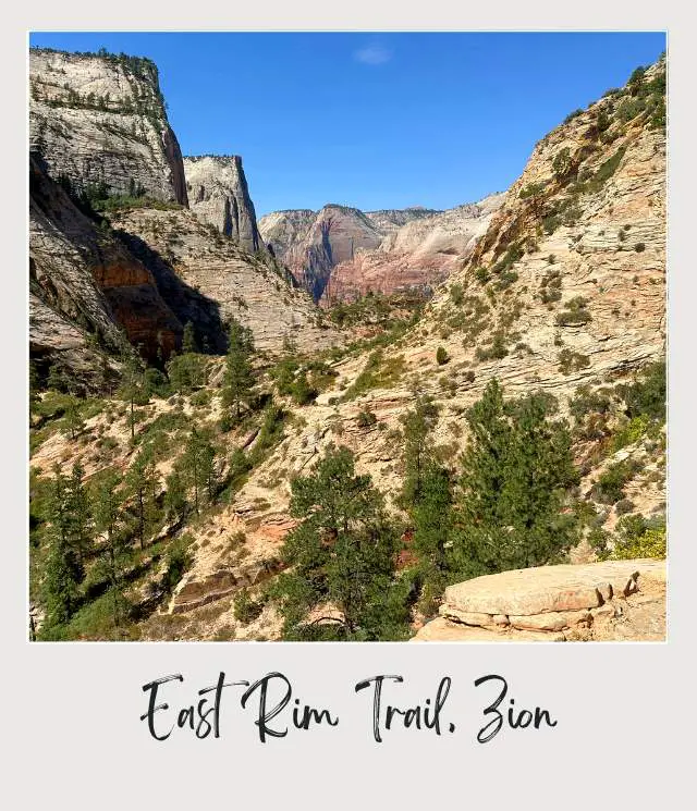 A view of a rugged mountain landscape with towering rock formations, scattered pine trees, and a winding trail under a clear blue sky at East Rim Trail, Zion National Park.