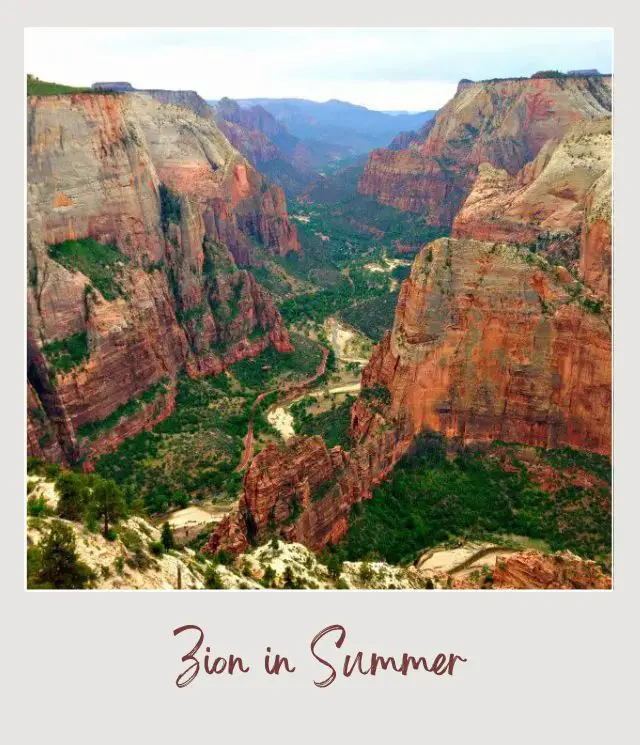 Visiting Zion National Park: What To Expect Throughout the Year Summer in Zion National Park June – August