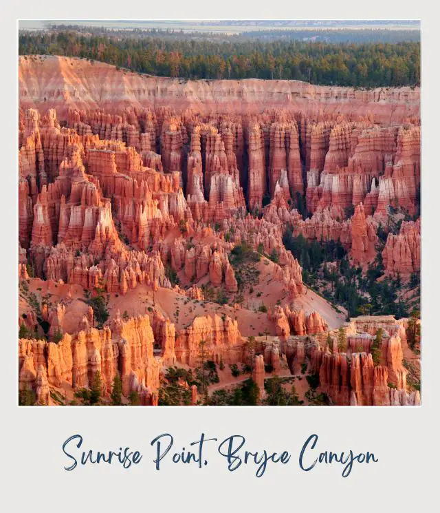 View of hoodoos in Sunrise Point Bryce Canyon