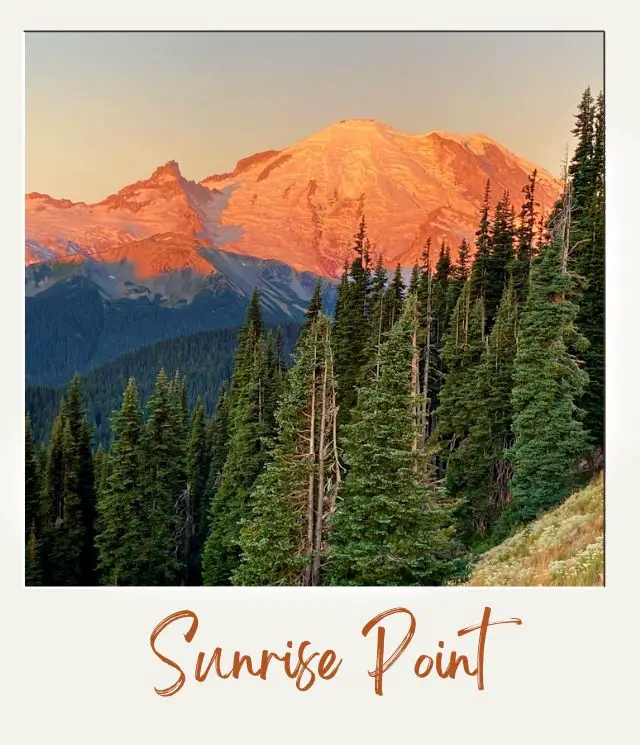 pine trees with mountain in background glowing in first morning light from Sunrise Point in Mount Rainier National Park