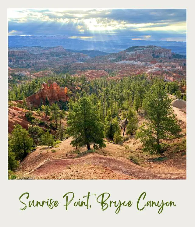 Aerial view of rock mountains and trees in Piracy Point Bryce Canyon