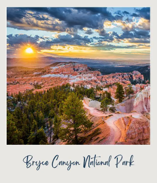 Spike of rocks surrounded by trees under the sun in Bryce Canyon National Park