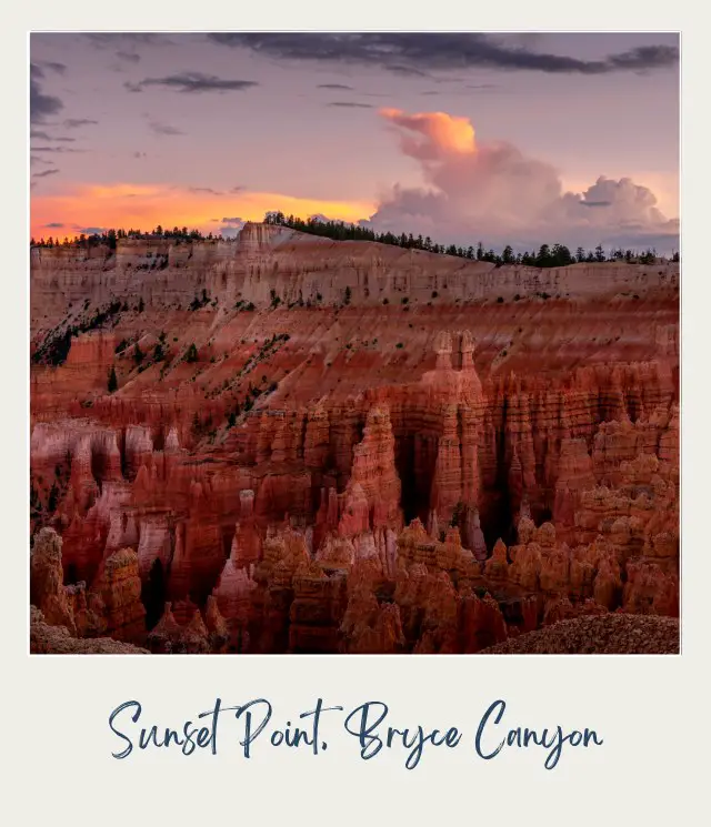 Aerial view of hoodoos and trees in Sunset Point Bryce Canyon.