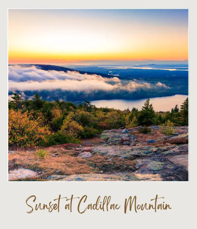 Trees and grasses and behind are mountain at sunset in Blue Hill in Acadia National Park