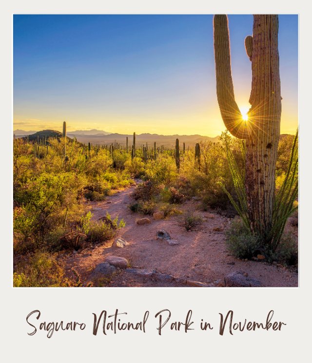 Best National Parks to Visit in November Sunset in Saguaro National Park in Arizona